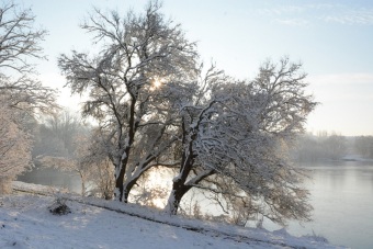 2018-02-07 Randonnée de semaine  plessis Paté sous la neige